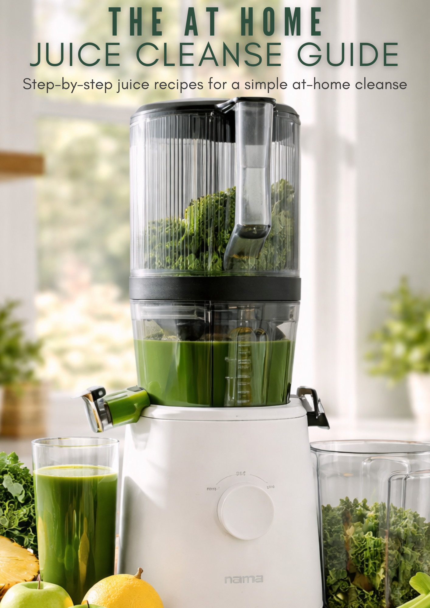 At Home Juice Cleanse Guide