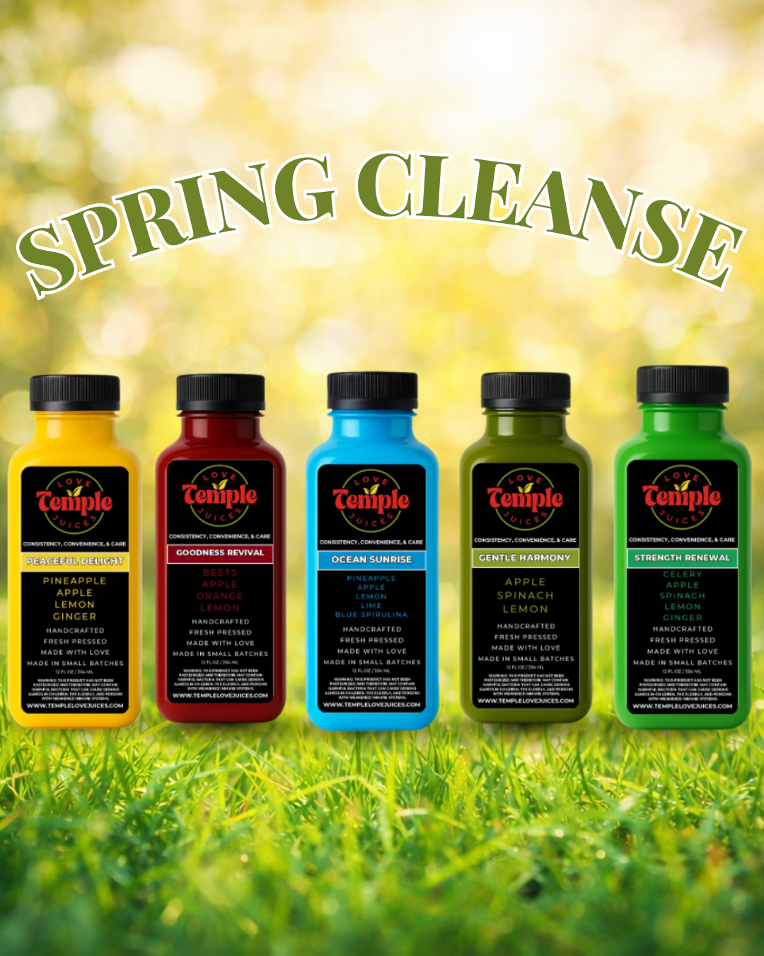 Spring 2026 Juice Cleanse